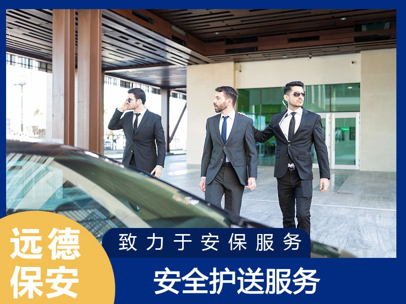 普陀VIP安全护送服务
